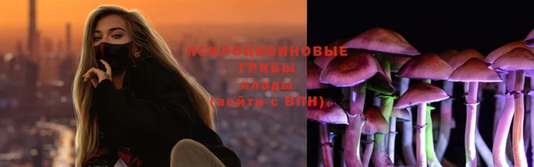 спиды Алзамай