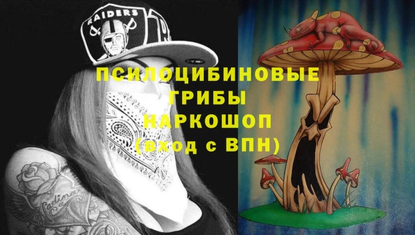 бутират Алексеевка